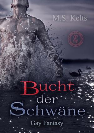 Book cover of Bucht der Schwäne