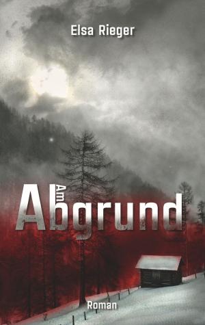 Cover of the book Am Abgrund by Michael Groß