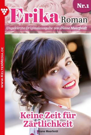 Cover of the book Erika Roman 1 – Liebesroman by Patricia Vandenberg