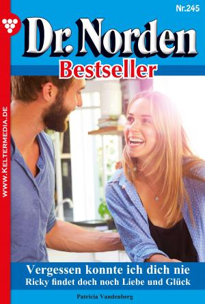 bigCover of the book Dr. Norden Bestseller 245 – Arztroman by 