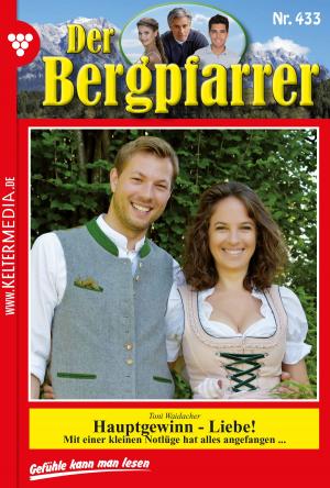 Cover of the book Der Bergpfarrer 433 – Heimatroman by Kathrin Singer