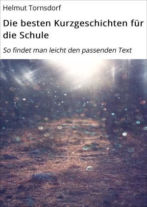 Cover of the book Die besten Kurzgeschichten für die Schule by Elke Schwab