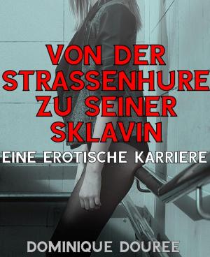 Cover of the book Von der Straßenhure zu seiner Sklavin by Mattis Lundqvist