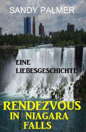 Cover of the book Rendezvous in Niagara Falls: Eine Liebesgeschichte by Courtney Cantrell