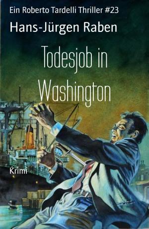 Cover of the book Todesjob in Washington by Karthik Poovanam