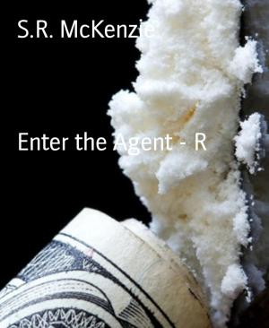 Cover of the book Enter the Agent - R by Colleen A. Moore-Burke