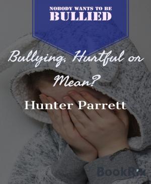 Cover of the book Bullying, Hurtful Or Mean? by Nathan Skaggs