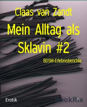 Cover of the book Mein Alltag als Sklavin #2 by Jan Gardemann