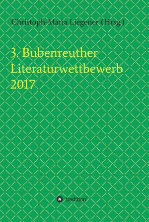 Book cover of 3. Bubenreuther Literaturwettbewerb 2017