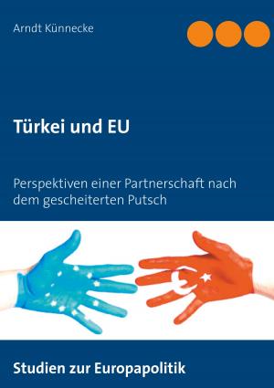 Cover of the book Türkei und EU by Peer Millauer