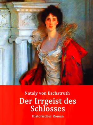 Cover of the book Der Irrgeist des Schlosses by Sören Frey