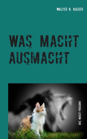Cover of the book Was Macht ausmacht by Thorsten Schüler, Peter Riemann