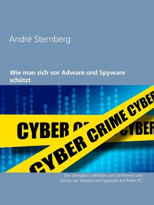 Cover of the book Wie man sich vor Adware und Spyware schützt by Felix Denk, Sven von Thülen