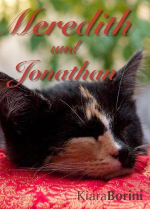 Cover of the book Meredith und Jonathan by Roman Plesky