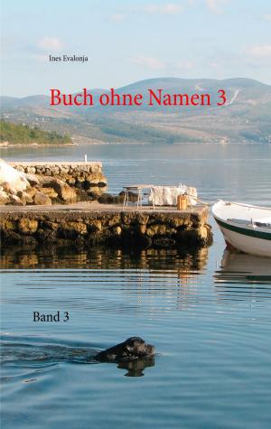 Book cover of Buch ohne Namen 3