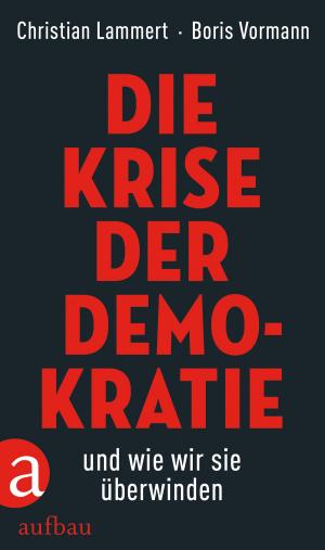 Book cover of Die Krise der Demokratie und wie wir sie überwinden