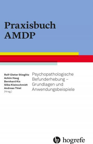 Cover of the book Praxisbuch AMDP by Johannes Lindenmeyer