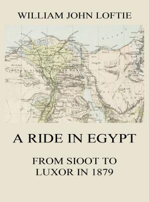Cover of the book A Ride in Egypt by Jürgen Beck