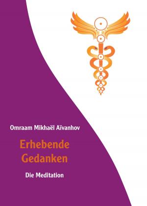 Cover of the book Erhebende Gedanken - Die Meditation by Mantak Chia