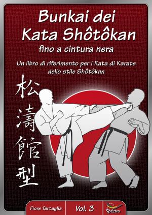 Cover of Bunkai dei Kata Shôtôkan fino a cintura nera