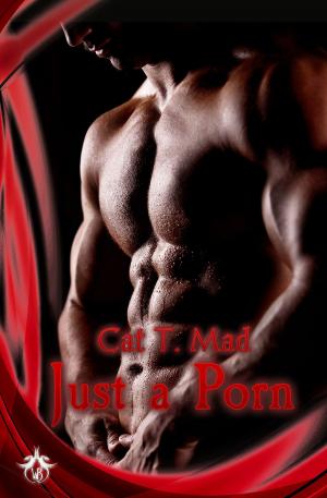 Cover of the book Just A Porn by Scott Douglas, Carson Parker