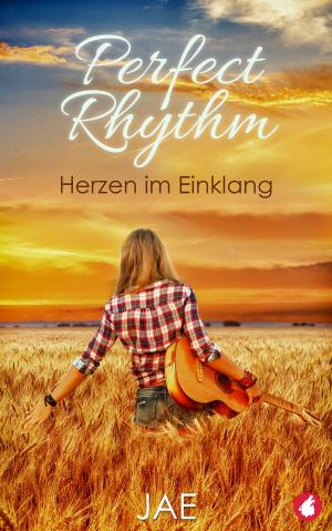 Cover of the book Perfect Rhythm – Herzen im Einklang by Andi Marquette