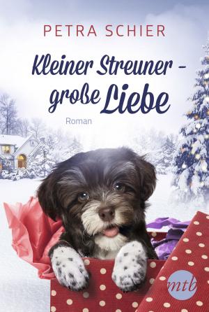 Cover of the book Kleiner Streuner - große Liebe by Kelly Maher