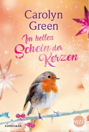 Cover of the book Im hellen Schein der Kerzen by Caroline Roberts