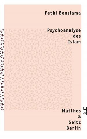 Cover of the book Psychoanalyse des Islam by Eduardo Viveiros de Castro, Deborah Danowski