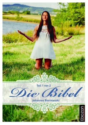 Cover of the book Die Bibel (Teil 1/2) by Dr. Goldmann