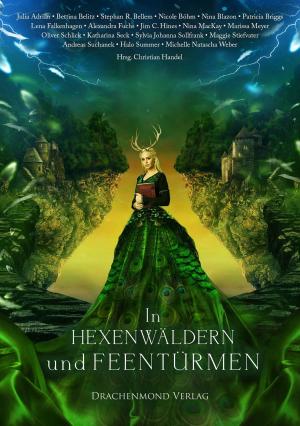 Cover of the book In Hexenwäldern und Feentürmen by Emily Thomsen