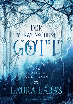 Cover of the book Der verwunschene Gott by D. B. Granzow