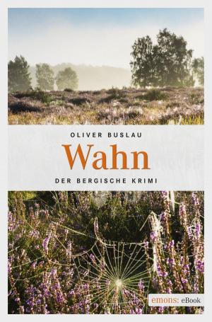 Cover of the book Wahn by Brigitte Glaser