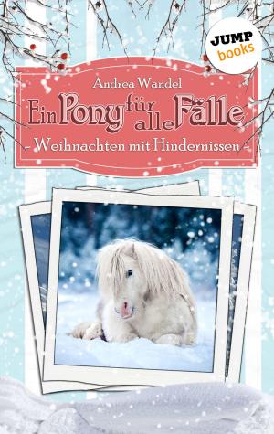 bigCover of the book Ein Pony für alle Fälle - Elfter Roman: Weihnachten mit Hindernissen by 