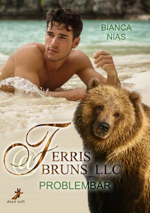 Cover of the book Ferris@Bruns_LLC by Felice Stevens