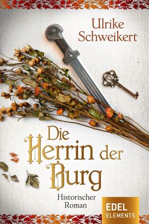 Cover of the book Die Herrin der Burg by Julia Kröhn