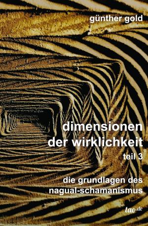 Cover of the book Dimensionen der Wirklichkeit - Teil 3 by Gerald Ehegartner