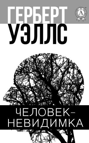 Book cover of Человек-невидимка