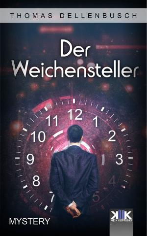 Cover of the book Der Weichensteller by Nadine Stenglein