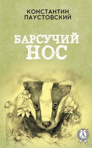 Cover of the book Барсучий нос by Марк Твен, Екатерина Нелидова