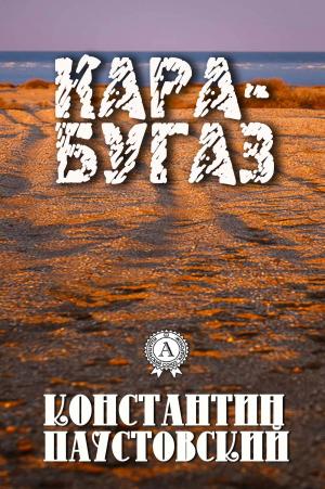 Cover of the book Кара-Бугаз by Борис Акунин