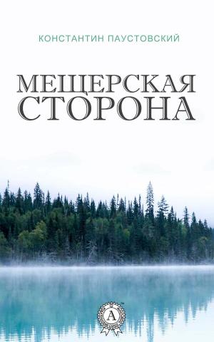 Book cover of Мещерская сторона
