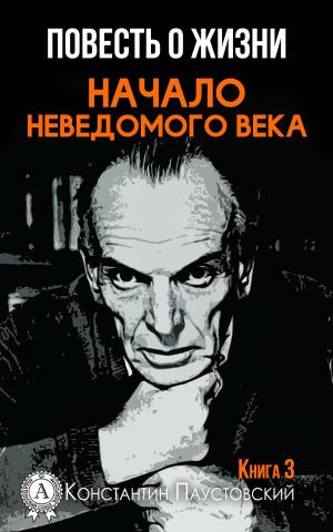 Cover of the book Начало неведомого века by Jules Okapi