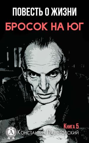 Cover of the book Бросок на юг by Елена Ворон