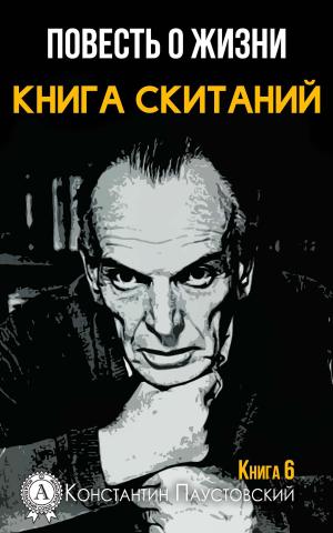 Book cover of Книга скитаний