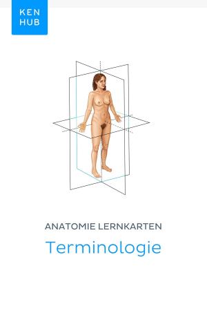 Book cover of Anatomie Lernkarten: Terminologie