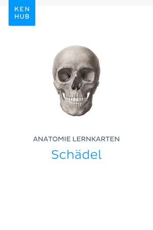 Book cover of Anatomie Lernkarten: Schädel