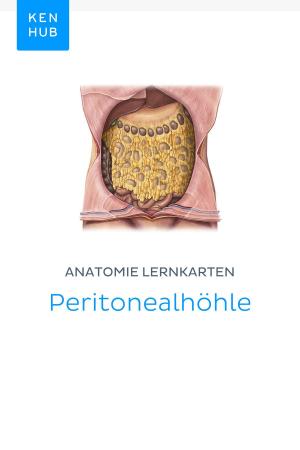 Book cover of Anatomie Lernkarten: Peritonealhöhle