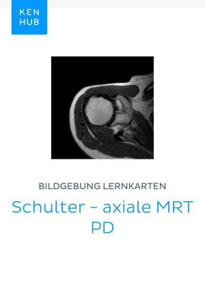 Cover of Bildgebung Lernkarten: Schulter - axiale MRT PD