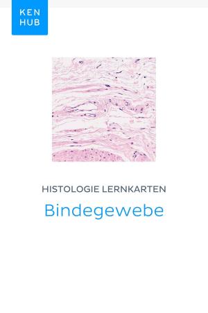 Book cover of Histologie Lernkarten: Bindegewebe
